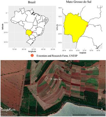 Integrated use of plant growth-promoting bacteria and nano-zinc foliar spray is a sustainable approach for wheat biofortification, yield, and zinc use efficiency